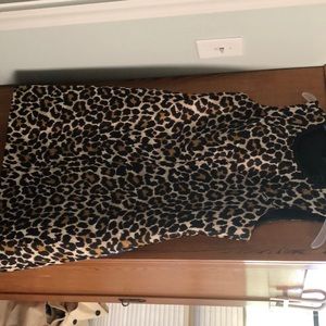 Leopard print JCrew shift dress
